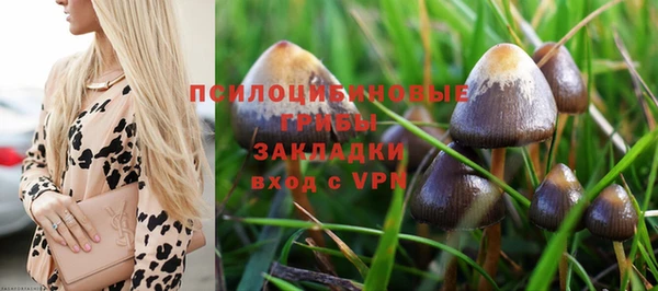 прущий лед Верея