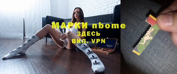 прущий лед Верея